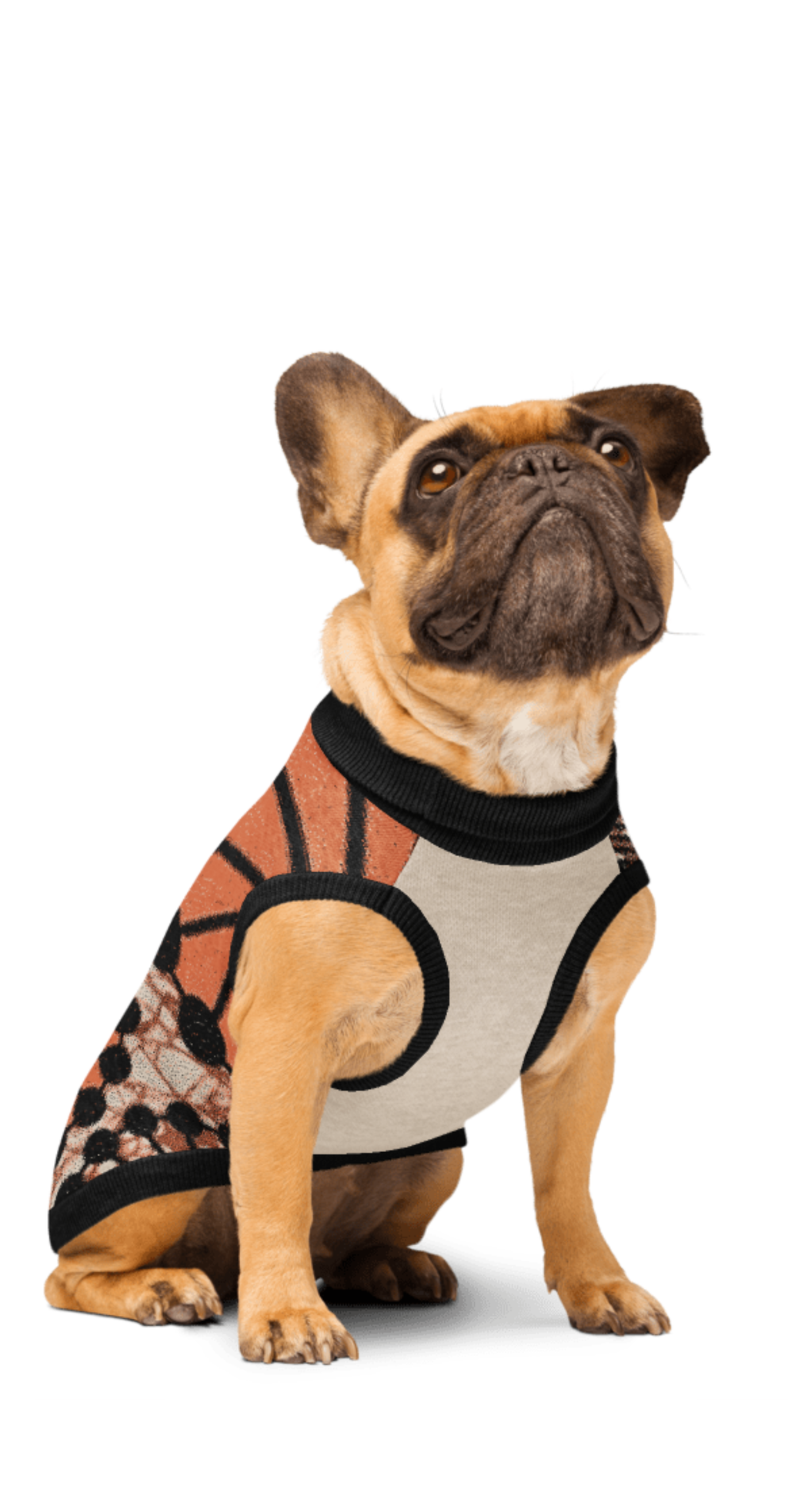 Knitted pet sweater