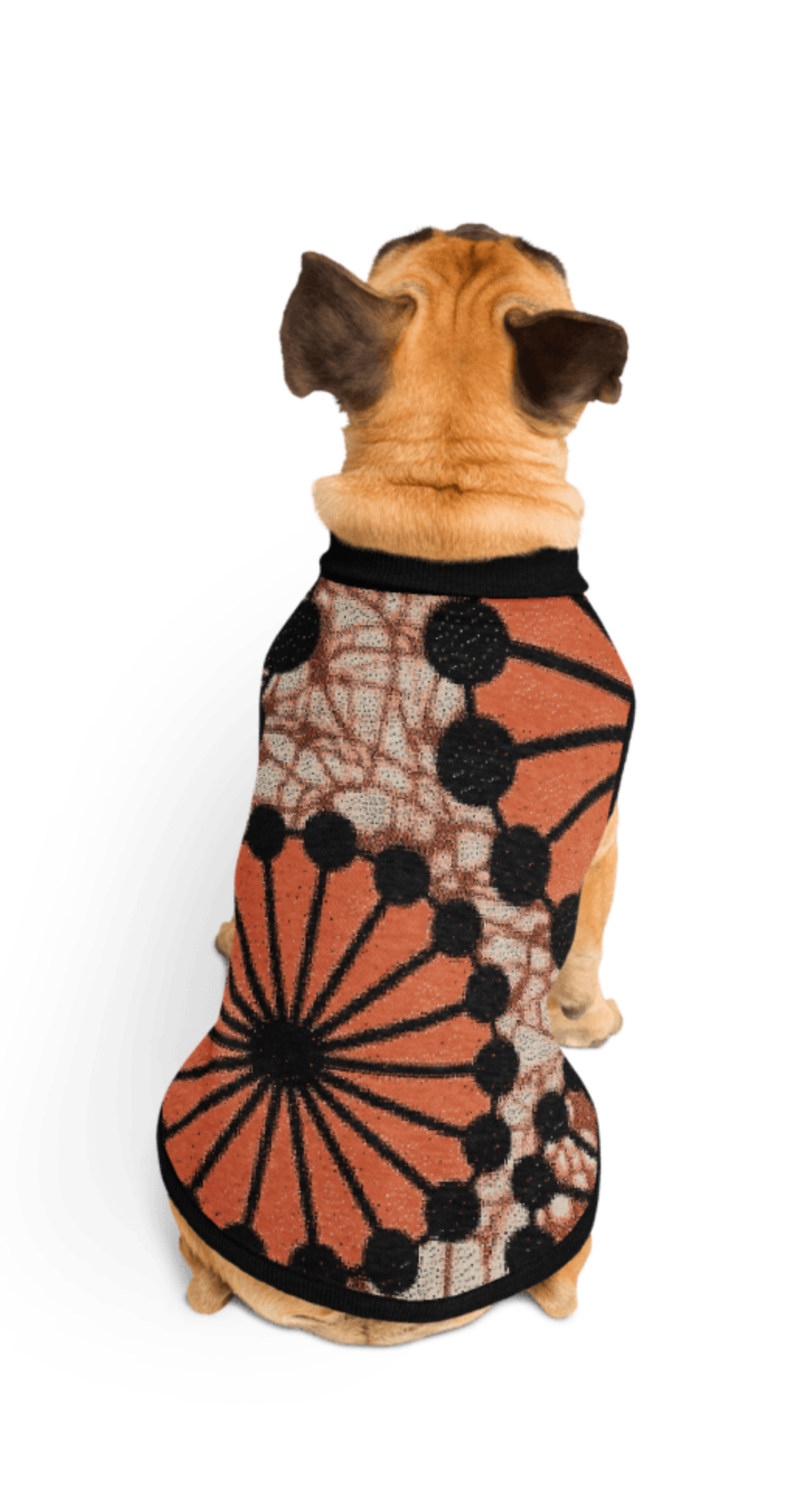 Knitted pet sweater