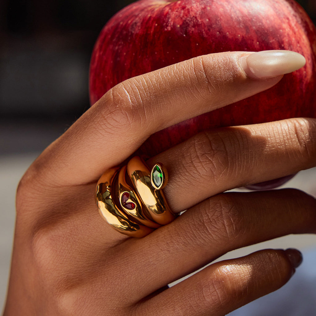 stainless steel ring