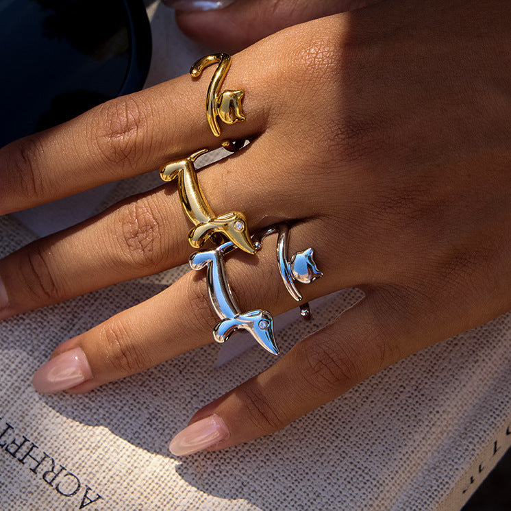 Stainless Steel Ring