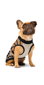 "KITENGE" Knitted pet sweater